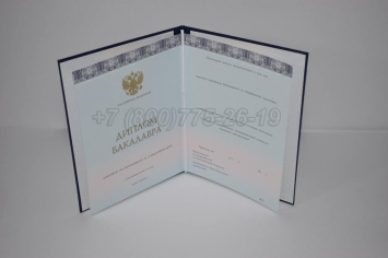 Диплом Бакалавра 2024г ООО "Знак" в Санкт-Петербурге