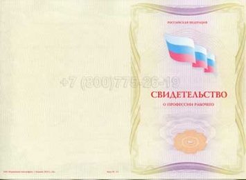 Свидетельство о Профессии Рабочего "Энергетик участка" в Санкт-Петербурге