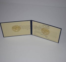 Диплом Техникума Советского Союза 1993г в Санкт-Петербурге