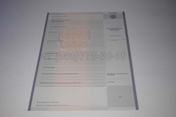 Академическая Справка Техникума 2021г в Санкт-Петербурге