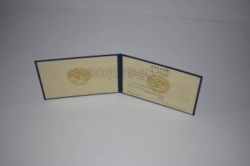 Диплом Техникума Советского Союза 1995г в Санкт-Петербурге