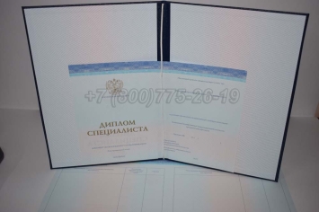 Диплом о Высшем Образовании 2025г СпецБланк в Санкт-Петербурге