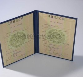 Диплом о Высшем Образовании Украинской ССР в Санкт-Петербурге